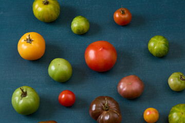 Variety of heirloom tomatoes on blue background
