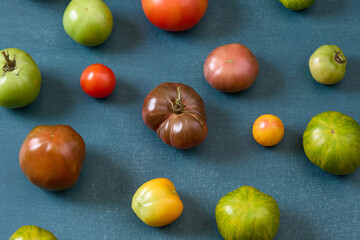 Variety of heirloom tomatoes on blue background
