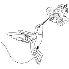 Elegant hummingbird sipping nectar from a delicate flower line art