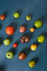 Variety of heirloom tomatoes on blue background
