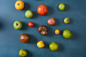Variety of heirloom tomatoes on blue background
