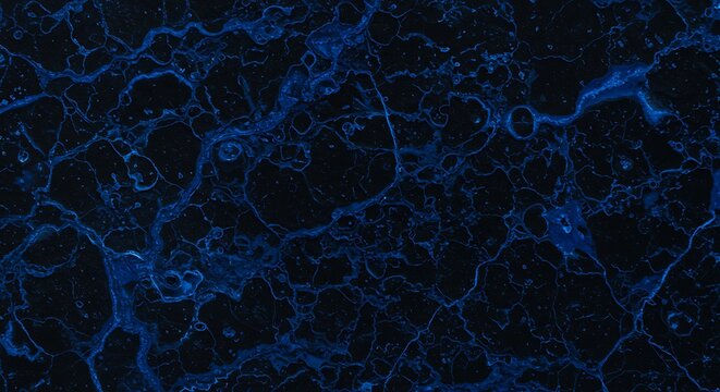 Dark blue fossil stone texture with light veining and embedded shells, natural rock background