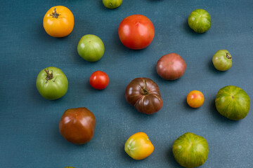 Scattered assorted heirloom tomatoes on blue background

