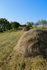 Two large, domed haystacks sit in a mown, dry field under a clear blue sky. This rural landscape conveys a sense of late summer and harvest completion, with a line of trees visible on the horizon.