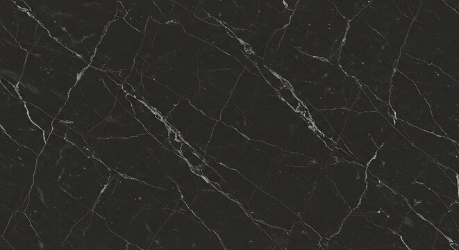Elegant dark gray Nero Marquina marble surface with white mineral fractures and cracks