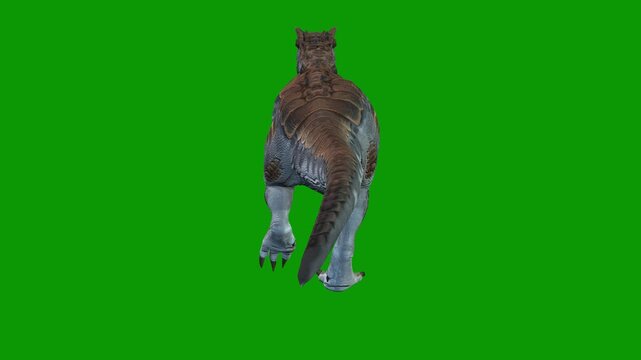 Realistic Dinosaur Walking Bck 3D Render-Jurassic Dinosaur Green Screen