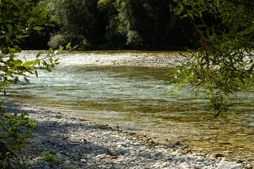 Beautiful Natural Background with Forest River in Summer