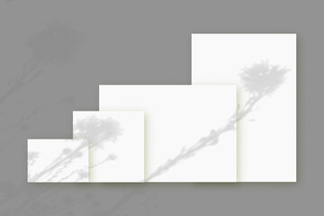 Natural light casts shadows from wildflowers on several sheets of white paper lying on a gray background. Mockup