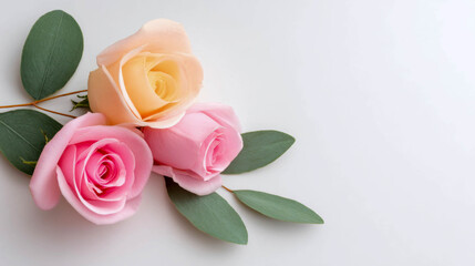 Colorful roses arranged with green leaves on a light background, perfect for decoration or gifting