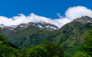 Fototapeta premium A breathtaking view of the Pyrenees mountains, with lush green forests in the foreground and snow-capped peaks partially shrouded in clouds add to the beauty of this natural landscape in Spain.