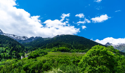 A breathtaking view of the Pyrenees mountains, with lush green forests in the foreground and snow-capped peaks partially shrouded in clouds add to the beauty of this natural landscape in Spain.