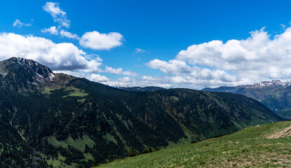 A verdant alpine meadow gently rises to meet the majestic snow-capped mountains, framed by a bright blue sky scattered with fluffy clouds.