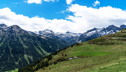Fototapeta premium A verdant alpine meadow gently rises to meet the majestic snow-capped mountains, framed by a bright blue sky scattered with fluffy clouds.