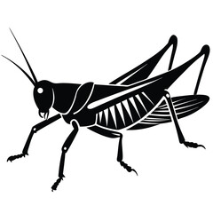 ai17578591172811_grasshopper-silhouette-vector---leaping-insect-.eps