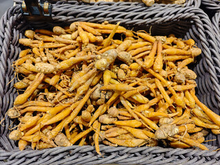 Fresh Organic Turmeric Roots in a Market Basket Display