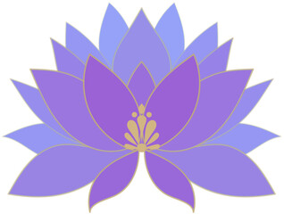 lotus flower vector