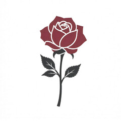 illustration red rose on a black background