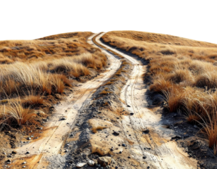 Curved Rural Dirt Path with Textured Earth, isolated on transparent background PNG
