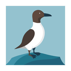 Guillemot bird standing on a rock illustration seabird