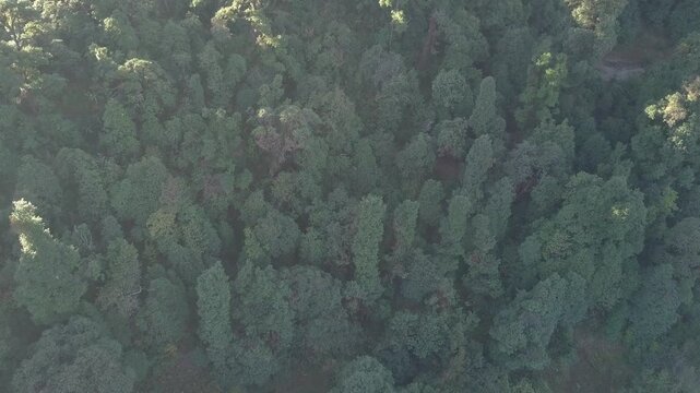 Deoriatal, Uttarakhand, India, Deoria Tal, Devaria or Deoriya lake at Sari village , Garhwal Himalayas, famous for snow capped chaukhamba mountains in the backdrop. It is considered sacred by Hindus.v