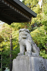 こま犬