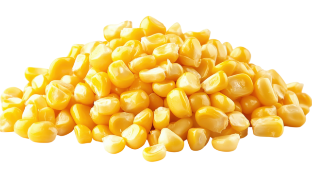 Pile of yellow corn kernels isolated on a transparent background