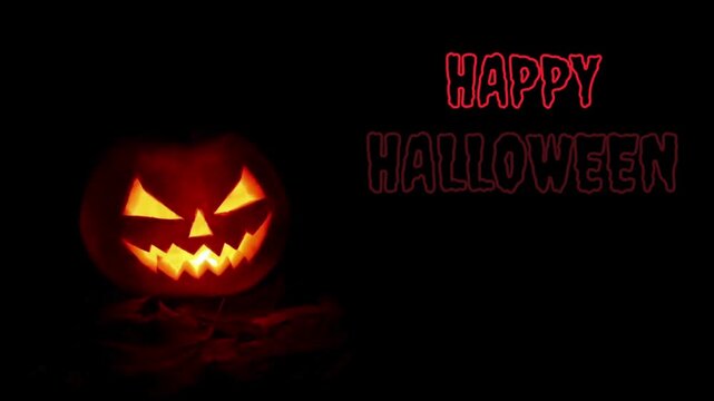 video celebration night halloween jack o lantern on black pumpkin - Powered by Adobe