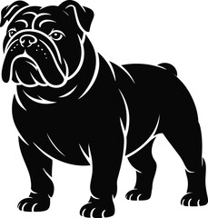 Abstract geometric design with vibrant color palette and bold typography elements