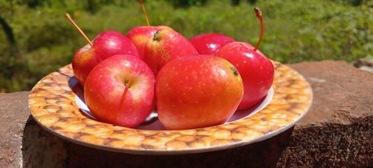 A bunch of fresh red apples are neatly arranged on a patterned plate, placed outdoors against a backdrop of bright, natural green grass.