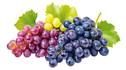 Red Green Blue Grapes Bunch isolated on a transparent background