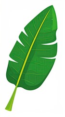 Vibrant green banana leaf illustration