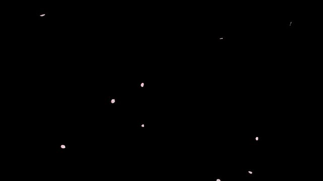 Cherry blossoms fall gracefully on a transparent background. Perfect as an overlay or visual element, adding ethereal beauty and a touch of spring elegance to any project.