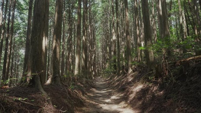 「世界遺産・熊野古道中辺路 重點(十丈)王子へ」和歌山県田辺市中辺路町高原 Kumano Kodo Nakahechi &ndash; Trail to Jujo Oji at Takahara, Nakahechi, Tanabe, Wakayama, Japan.