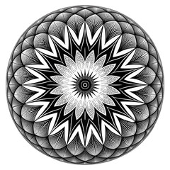 Abstract floral background