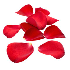 Scattered Red Rose Petals on a Black Background with Soft Lighting Keywords: rose petals, red rose petals, flower petals