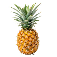 Ripe Yellow Pineapple with Green Spiky Leaves on Black Background fruit tropical