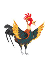 Rooster Chicken Crowing Carton Illustration. Adult Fighting Cock. Editable Clip Art.