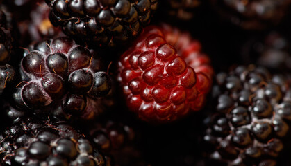 Fresh blackberries as background. Macro