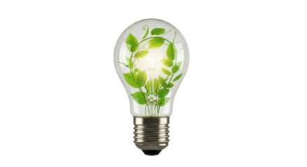 Lightbulb with plant growing inside as a symbol for green energy isolated PNG with Transparent Background