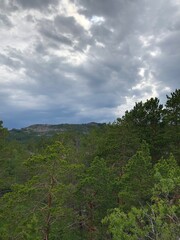 clouds over the forest