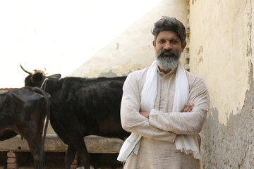 Indian Farmer standing in a rural village. Rural scene : Indian farmer standing his dairy farm....