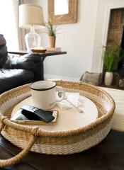 Bright neutral interior living room decor with natural accents