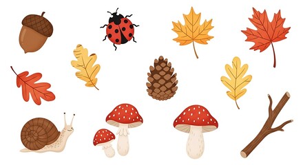Autumn Nature Collection.