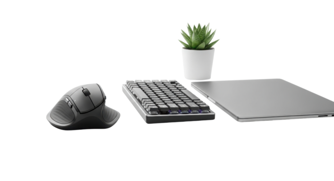 Ergonomic computer setup with keyboard, mouse, laptop and plant isolated PNG with Transparent Background