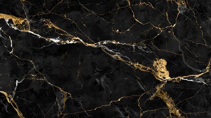 Luxurious Black Marble with Gold Veins
