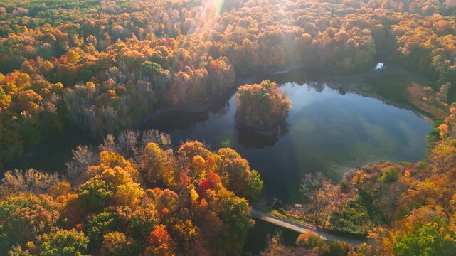 Aerial view of canopy of trees and lake in autumn time with sun rays, in a state park, Michigan