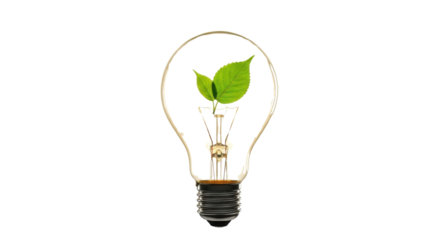 Light bulb with green leaves inside for environmental conservation concept isolated PNG with Transparent Background