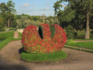 Flower Imperial Crown in Gatchina Park.