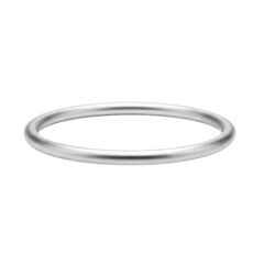 Silver metal ring or bangle bracelet © PNG Lab