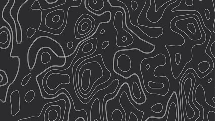Topographic map pattern background vector. Abstract mountain terrain map background with abstract shape line texture. Design illustration for wall art, fabric, packaging, web, banner, wallpaper.